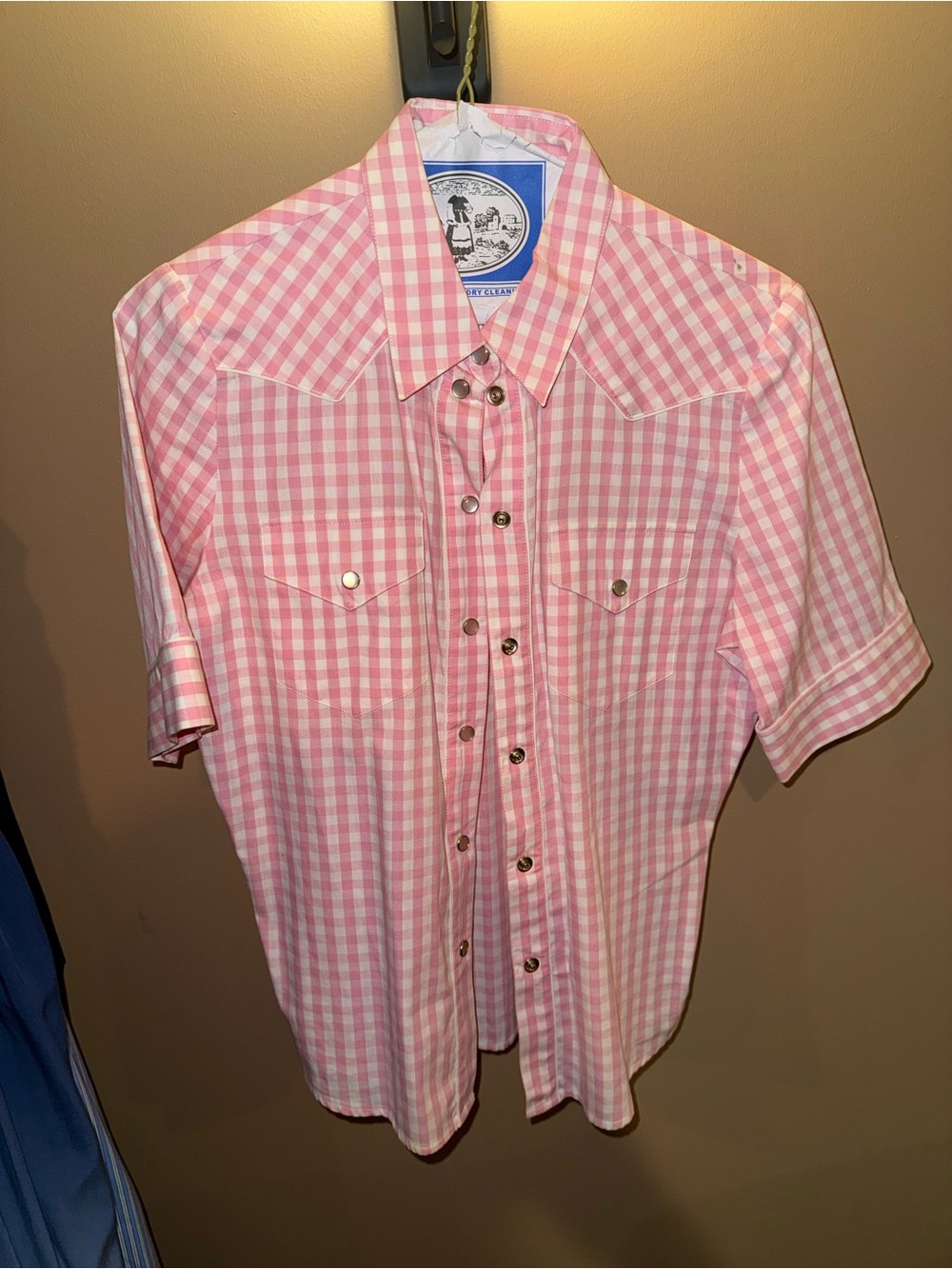 Classic Pink Gingham Button-Down Shirt - Western Snap Front